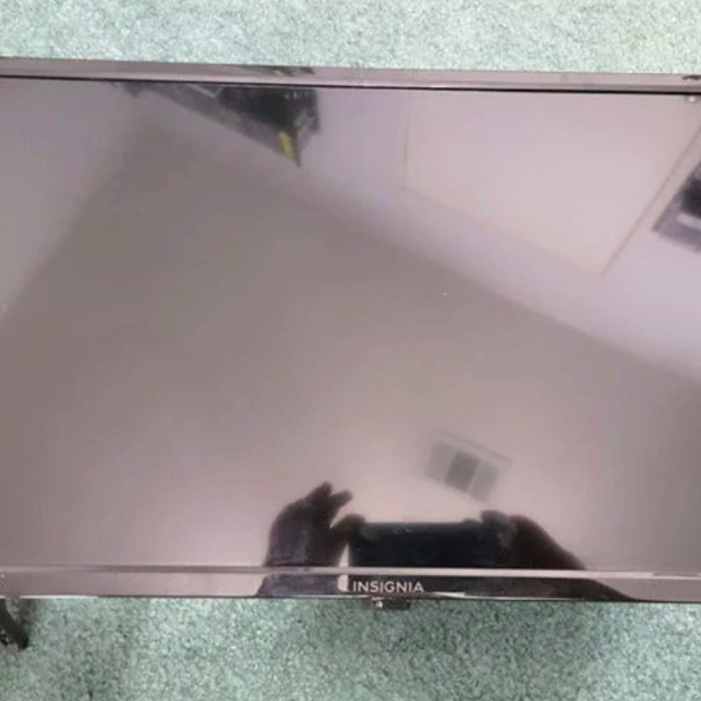 24” Insignia Flat Screen LED TV